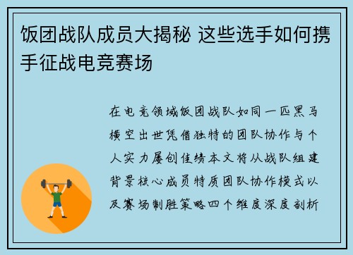 饭团战队成员大揭秘 这些选手如何携手征战电竞赛场